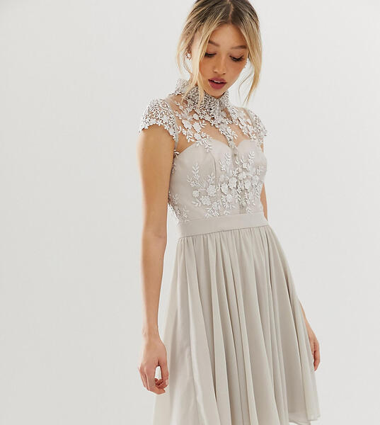 Серое платье мини с кружевным воротником -Серый Chi Chi London Petite 8051390