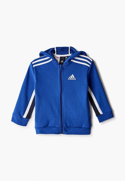 Толстовка Adidas AD002EBJMBE0CM104